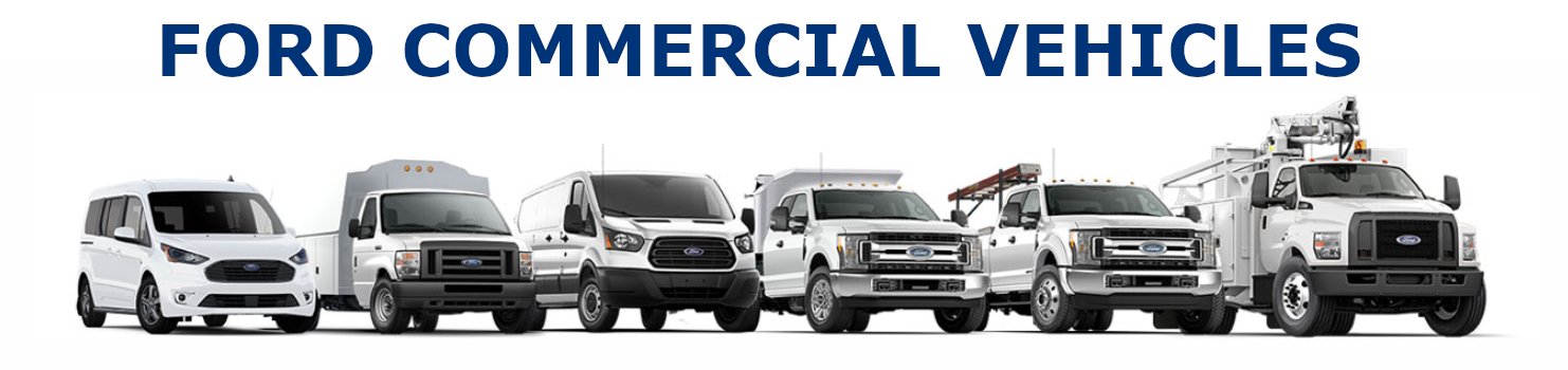 ford transit dump truck