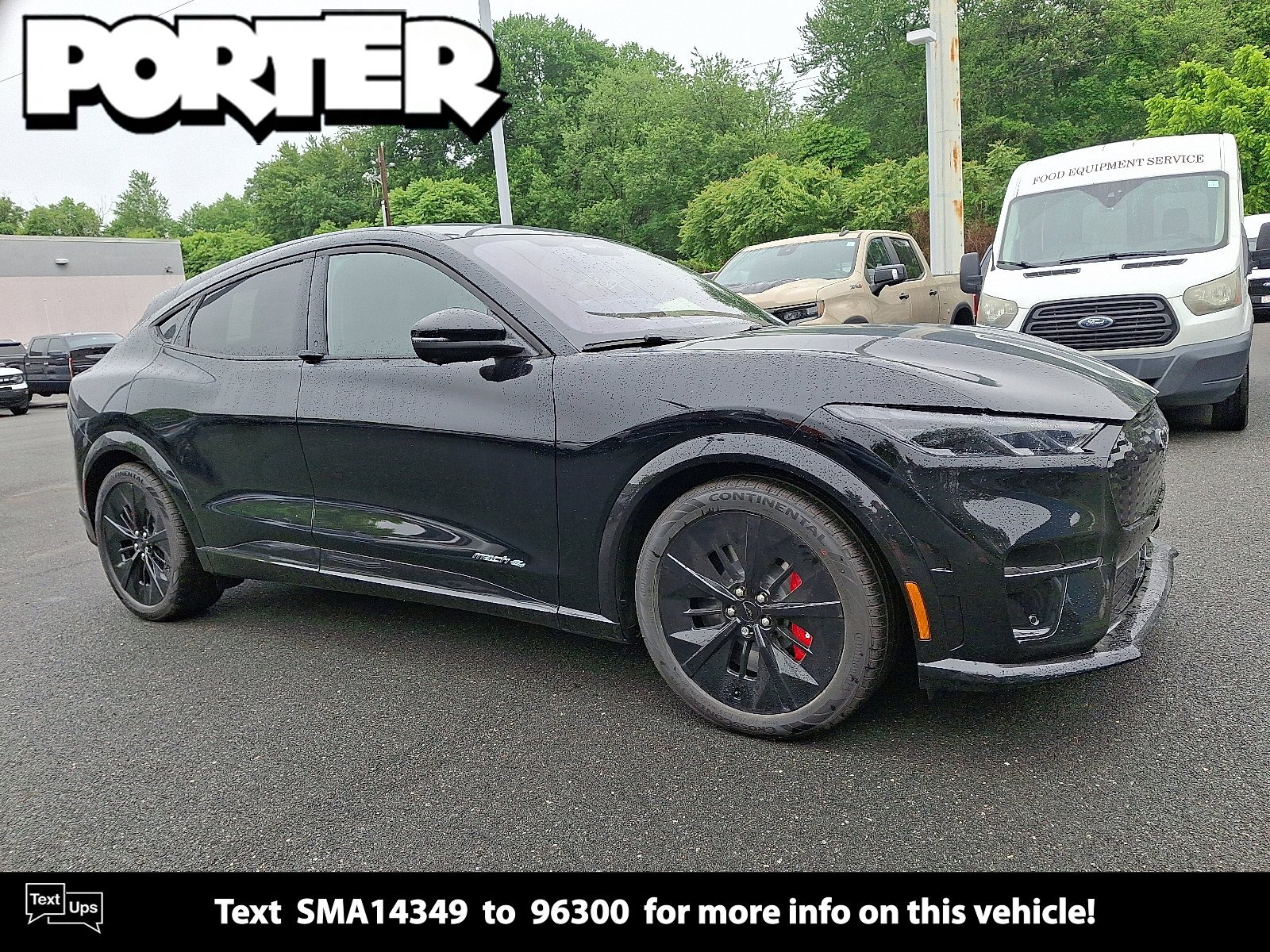 New 2025 Ford Mustang Mach-E in Newark Delaware