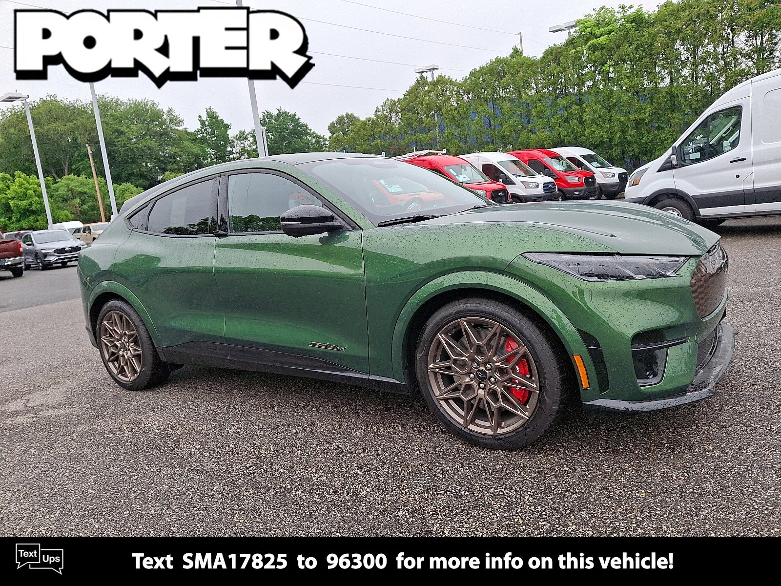 New 2025 Ford Mustang Mach-E in Newark Delaware