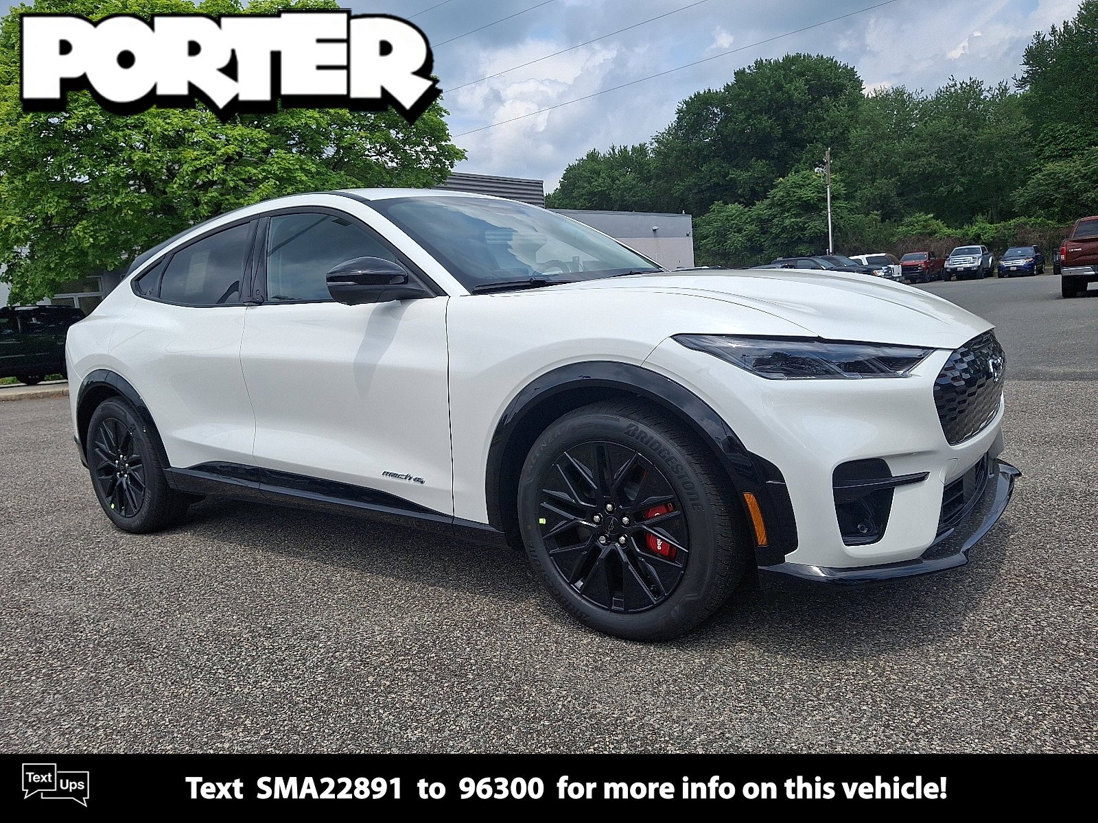 New 2025 Ford Mustang Mach-E in Newark Delaware