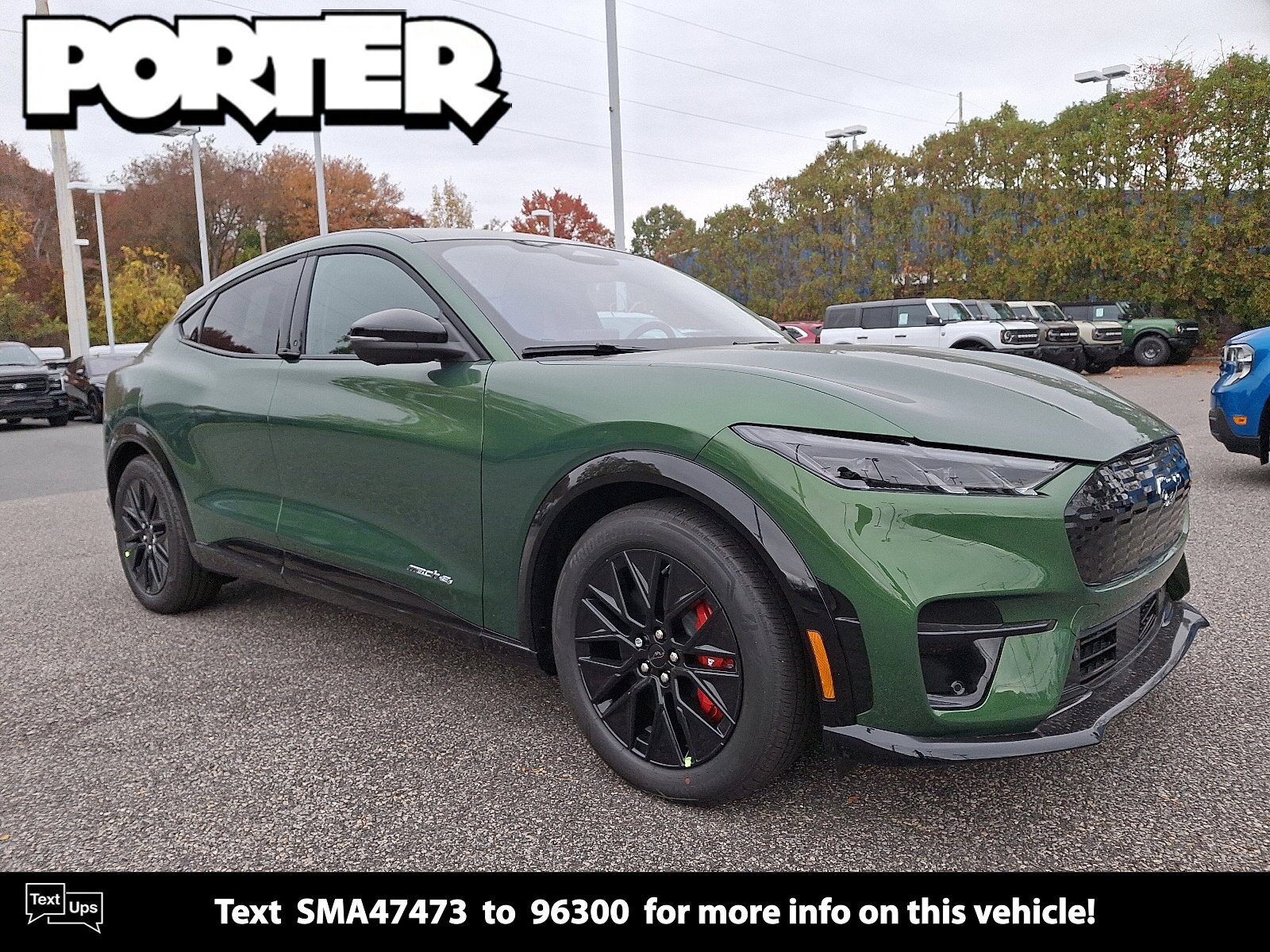 New 2025 Ford Mustang Mach-E in Newark Delaware